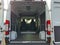 2024 RAM ProMaster 2500 High Roof 136 WB