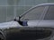 2026 Cadillac LYRIQ Signature Sport