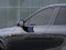 2027 Cadillac LYRIQ Signature Sport