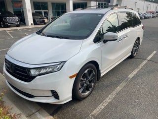 2023 Honda Odyssey Elite