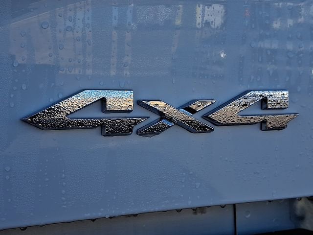 2024 RAM 2500 Tradesman Regular Cab 4x4 8' Box