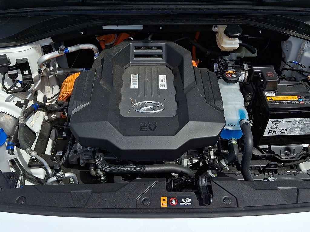 2021 Hyundai Ioniq Electric Limited