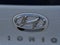 2021 Hyundai Ioniq Electric Limited