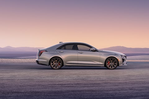 Randy Marion Cadillac